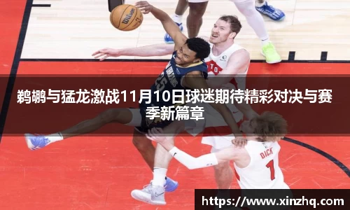 鹈鹕与猛龙激战11月10日球迷期待精彩对决与赛季新篇章